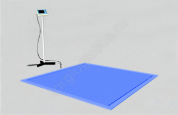 Весы врезные платформенные ВСП4-В9 3000*2000 - Торг-Логистика