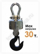 ���� �������� ���-� - ����-���������