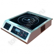 ����� ������������ IP-2000 - ����-���������