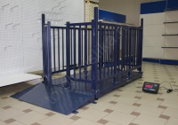  600-2000 () -1 " " - -